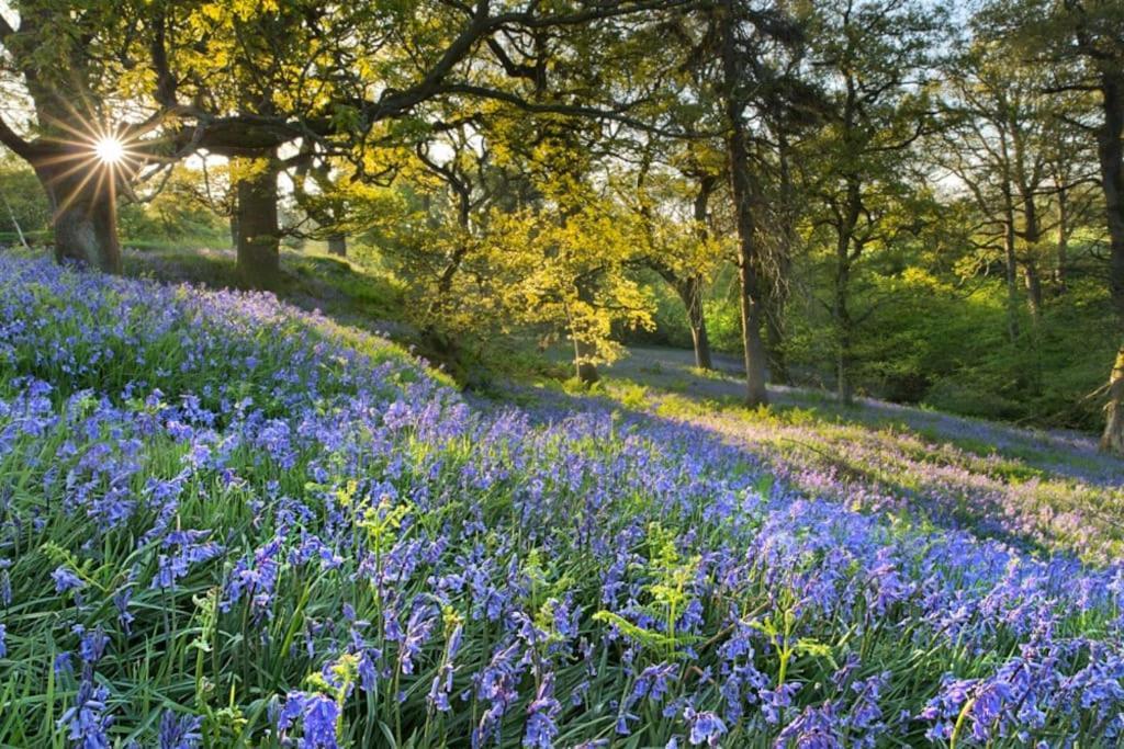 Вилла 35 Quaker Lane Дарлингтон Экстерьер фото